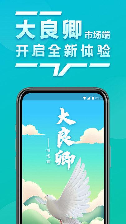 大良卿市场端app下载,大良卿市场端,监测app,办公app